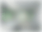 Depositphotos_24048675_original