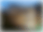 Depositphotos_29246729_original