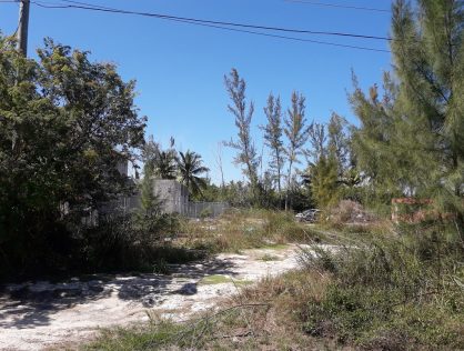 Duplex, Triplex+ Lot, South Beach